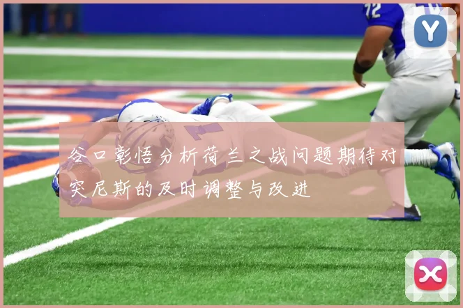 谷口彰悟分析荷兰之战问题期待对突尼斯的及时调整与改进